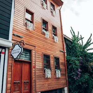 https://eldorado-istanbul.istanbul-turkeyhotels.com